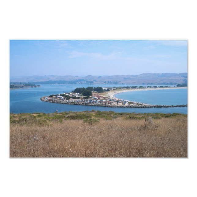 Foto Puerto de Bodega y Parque Doran (Frente)