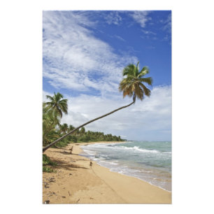 Foto Puerto Rico. Playa Tres Palmitas Puerto Rico