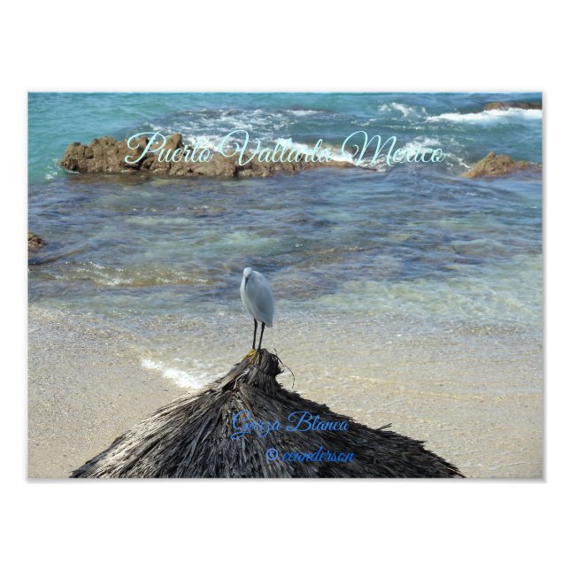 Foto Puerto Vallarta México-Garza Blanca (Frente)