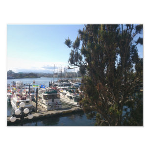 Foto Puerto Victoria