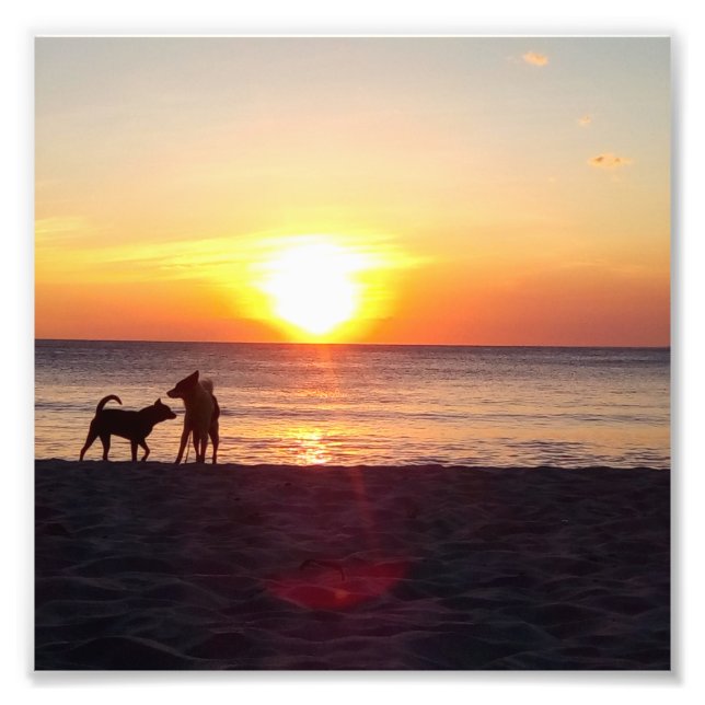 Foto puesta de sol (Frente)