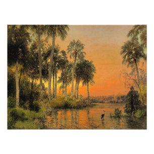Foto Puesta de sol en Florida de Hermann Herzog
