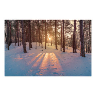 Foto Puesta de sol en un bosque de pinos invernal nevad