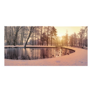 Foto Puesta de sol sobre el parque con un pequeño lago 