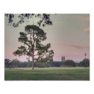 Foto Puesta del sol del parque de Audubon