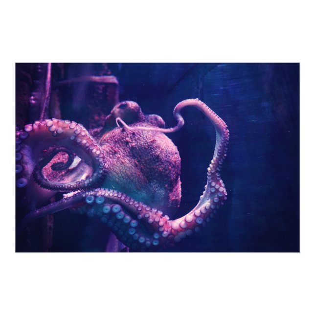 Foto Pulpo (Frente)