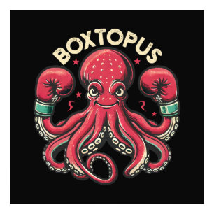 Foto Pulpo Boxeador - Boxtopus