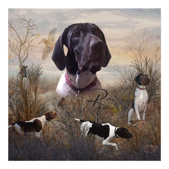 Foto Puntero alemán de corto alcance, cintas Kurzhaar d (Frente)