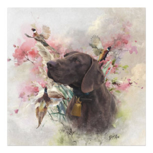 Foto Puntero de acordeón alemán