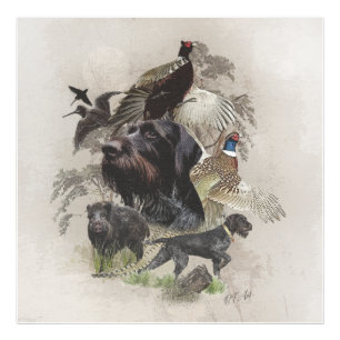 Foto Puntero inalámbrico alemán