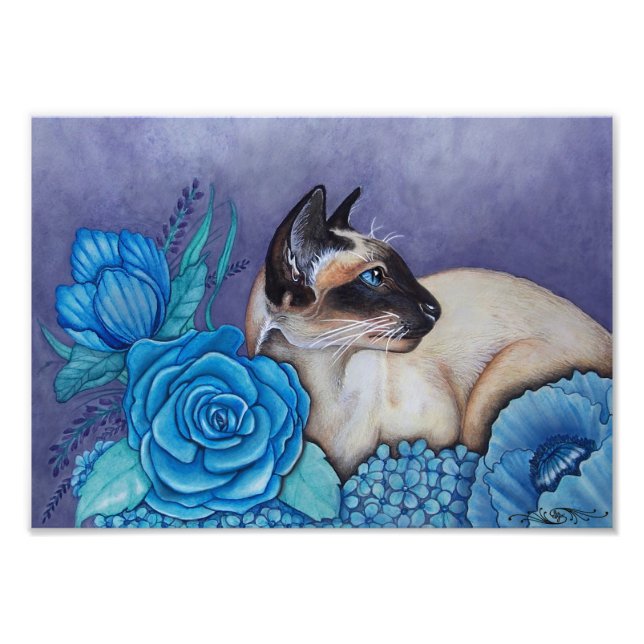 Foto Punto de chocolate siamés (Frente)