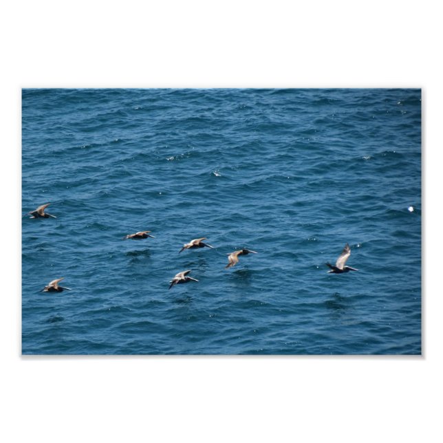 Foto Punto Dume (Frente)