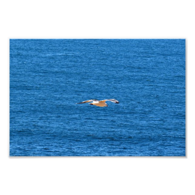 Foto Punto Dume (Frente)