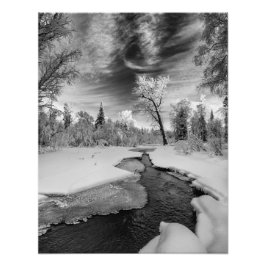 Foto Pure Campbell Creek