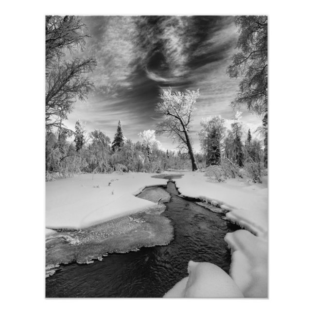 Foto Pure Campbell Creek (Frente)