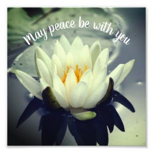 Foto Que la paz sea contigo Lotus Inspirador 8x8