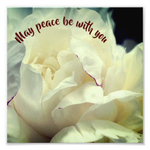 Foto Que la paz sea contigo Peony Inspirador 8x8