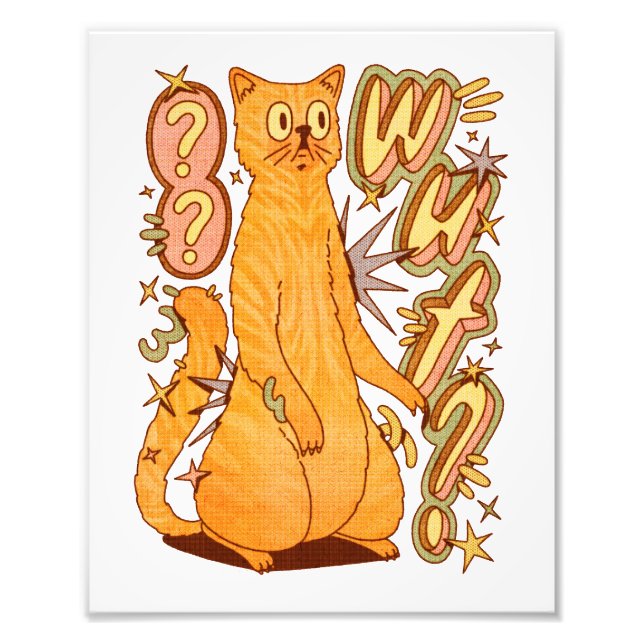 Foto ¿Qué? / Un Ilustracion de gato Naranja (Frente)