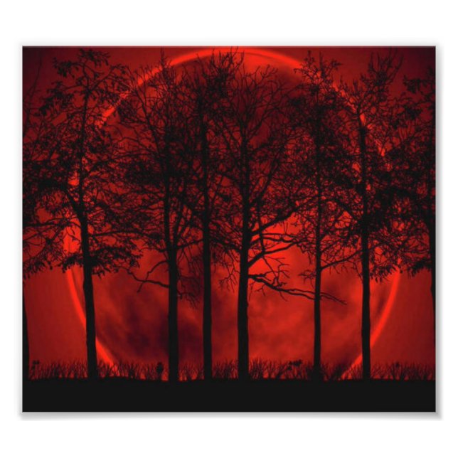 Foto Quemando rojo... (Frente)