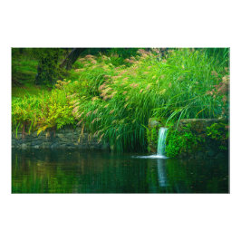 Foto Quietud Esmeralda junto a las Caídas del Jardín