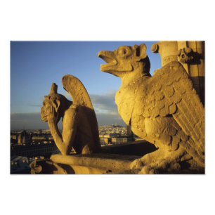 Foto Quimera, Catedral de Notre Dame, París, Francia