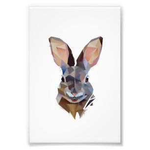 Foto Rabbit Lovers Regalo de conejito de dibujo