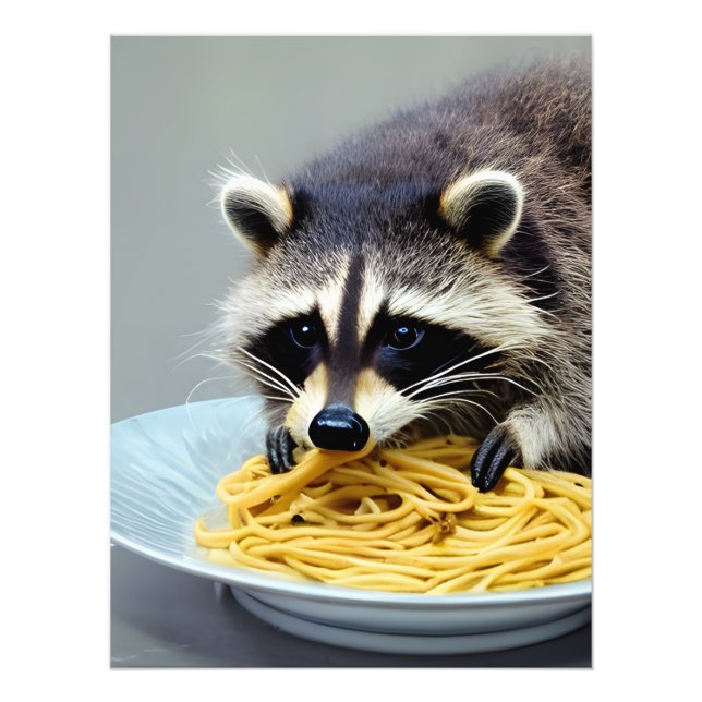 Foto Raccoon Eating Spaghetti (Frente)
