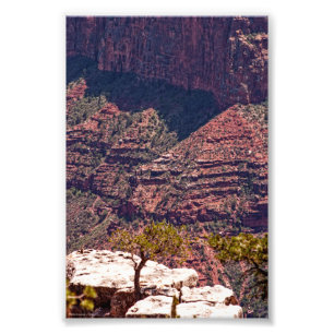 Foto Rafinesque Watches