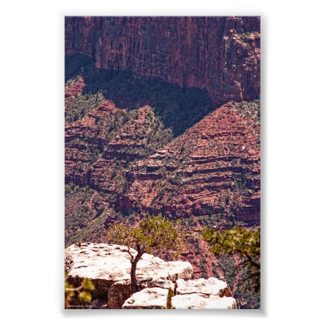 Foto Rafinesque Watches (Frente)