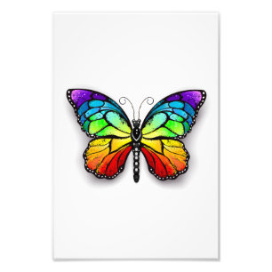 Foto Rainbow butterfly Monarch