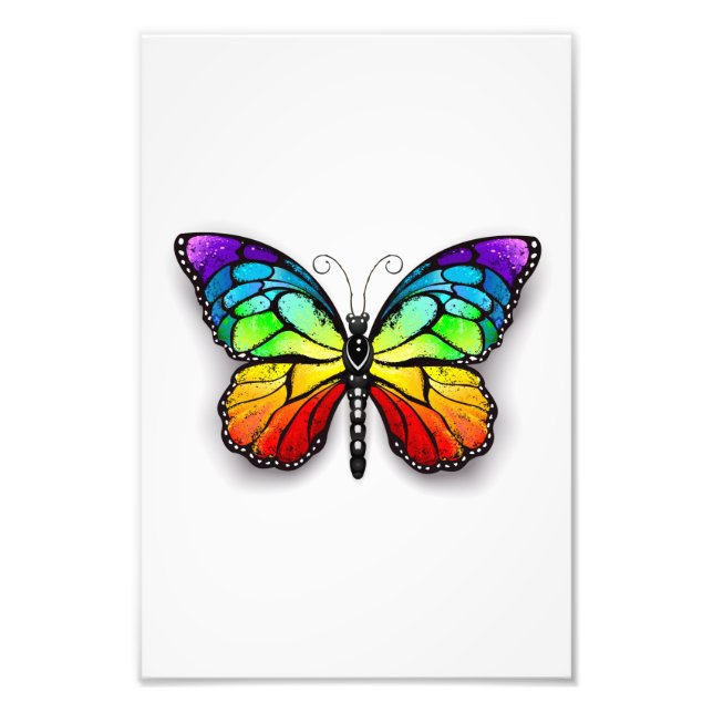 Foto Rainbow butterfly Monarch (Frente)