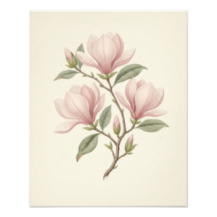 Foto Rama de magnolia antigua vintage arte vegetal eleg
