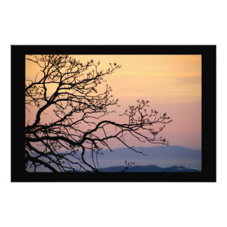 Foto Ramas de puesta de sol silueta por Sidharta Pascua