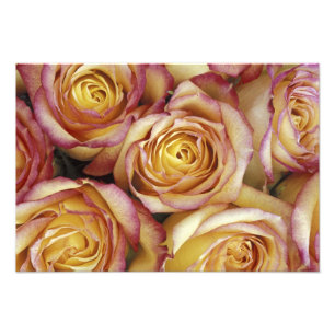Foto Ramo de rosas