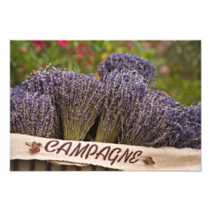 Foto Ramos de lavanda a la venta, Vence, Provenza,