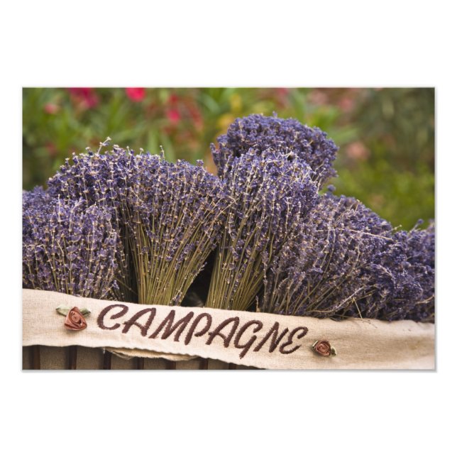 Foto Ramos de lavanda a la venta, Vence, Provenza, (Frente)