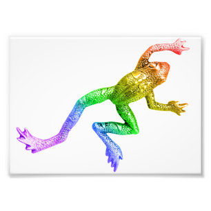 Foto rana de colores arcoíris de SlipperyJoe renderizad