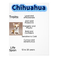 Rasgos de Chihuahua y vida