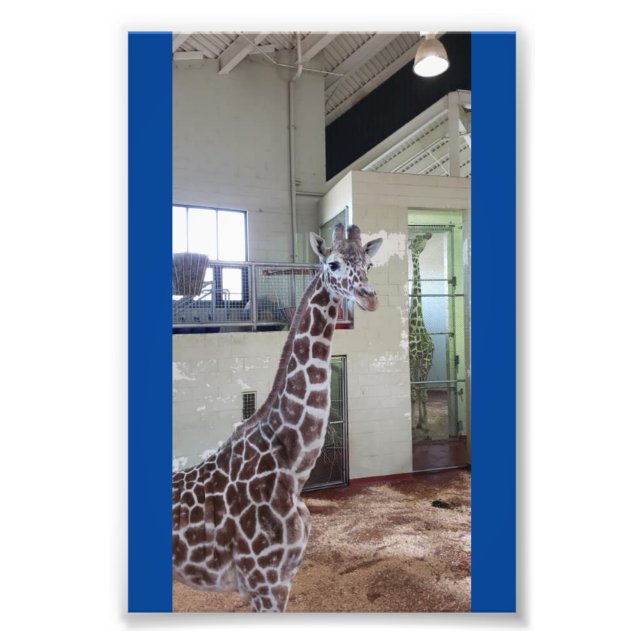 Foto Ratón 4X6 Imprimir #1 (Frente)