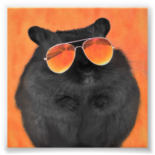 Foto Ratón retro personalizado de hipster