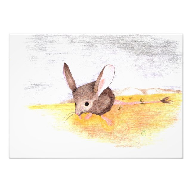 Foto Ratón seco (Frente)