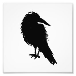 Foto Raven Crow Black Bird Animal art