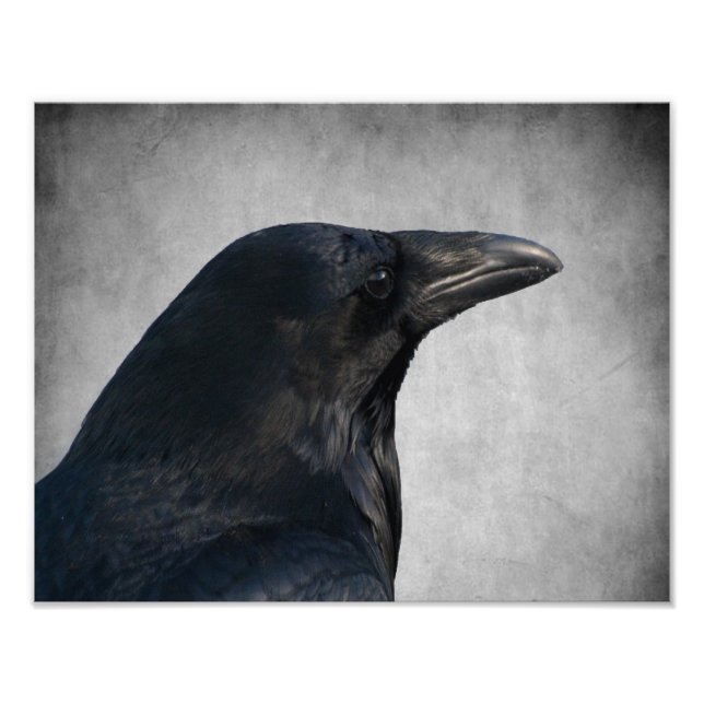 Foto Raven Glamour Shot (Frente)