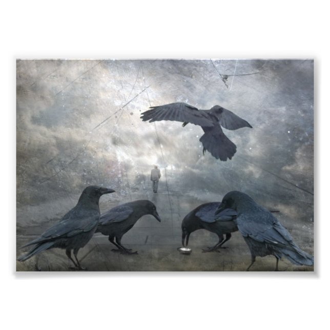 Foto Ravens juegan con tiempo perdido (Frente)