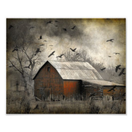 Foto Ravens Roguish Crearon Un Crownado