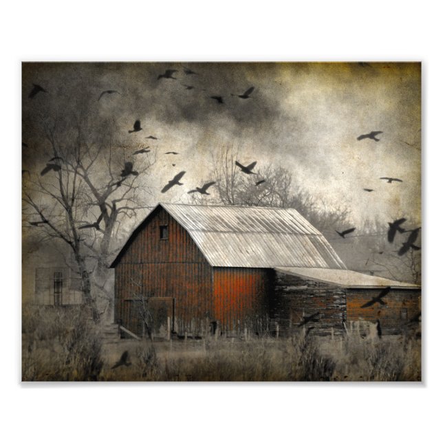 Foto Ravens Roguish Crearon Un Crownado (Frente)