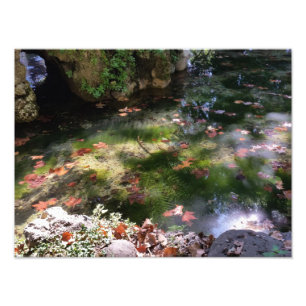 Foto rayas y hojas en el agua