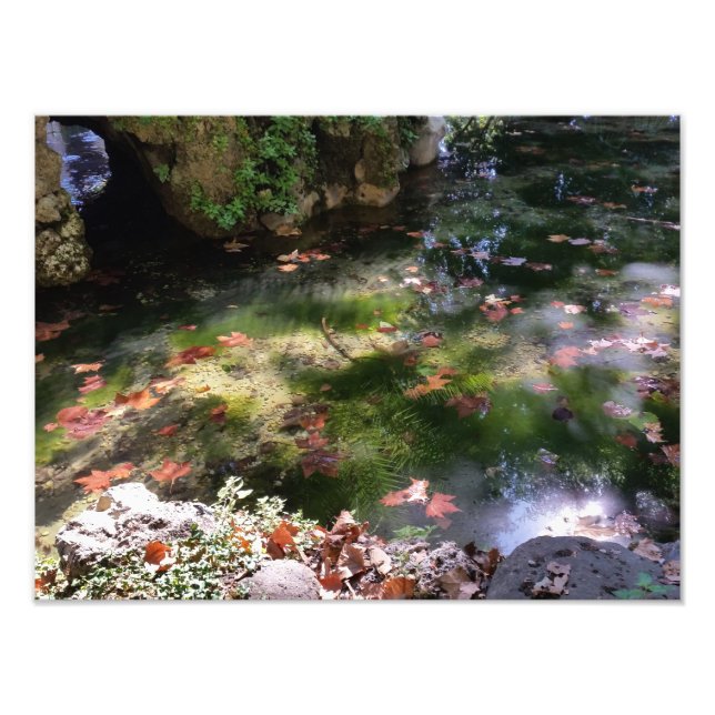 Foto rayas y hojas en el agua (Frente)