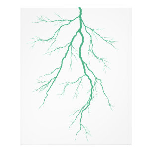 Foto Rayo verde
