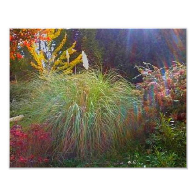 Foto Rayos solares ligeros (Frente)